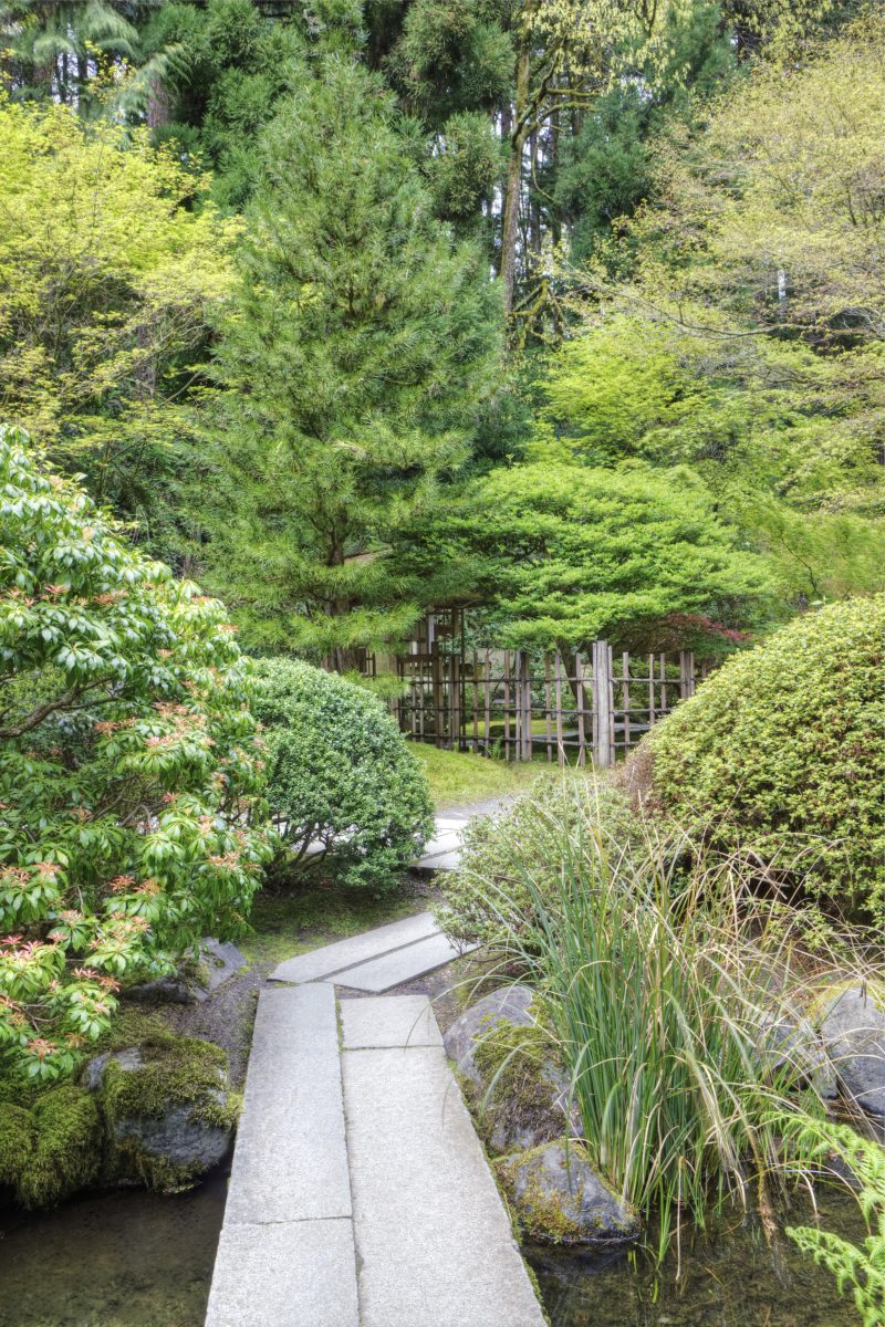 Pont en bois dans un jardin japonais à La Crau, Var, conçu par un paysagiste local pour un aménagement zen et reposant.