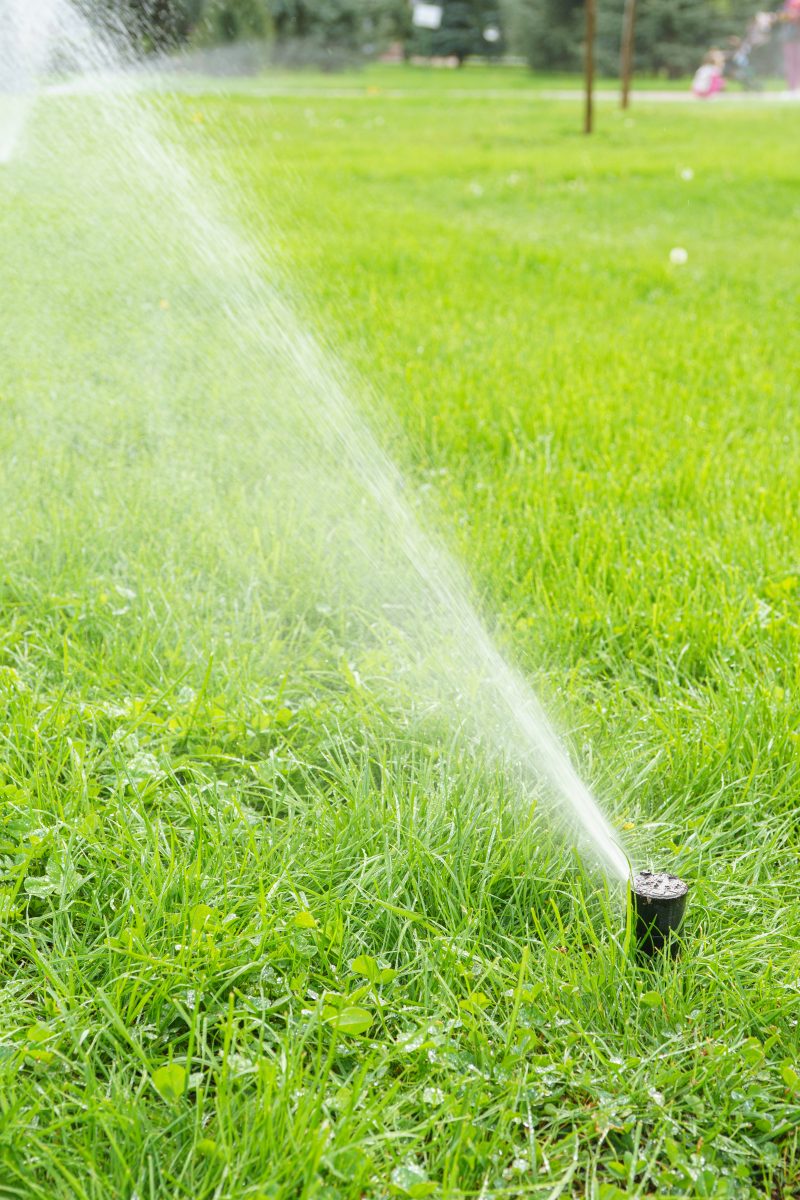 arrosage automatique intelligent avec tête ajustable, utilisé pour l’arrosage automatique d’un jardin.