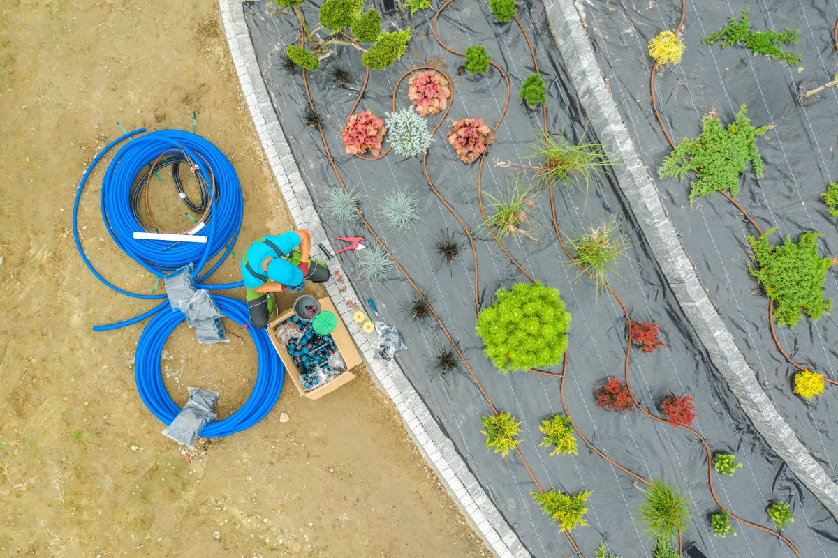 Arrosage goutte à goutte pour un potager dans le Var, conçu pour un arrosage contrôlé et écologique.