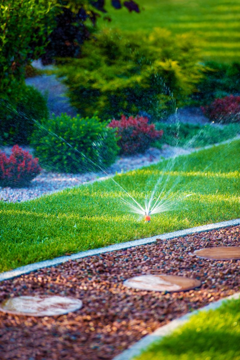Arrosage automatique favorisant l’infiltration de l’eau et le développement des racines en sol vivant