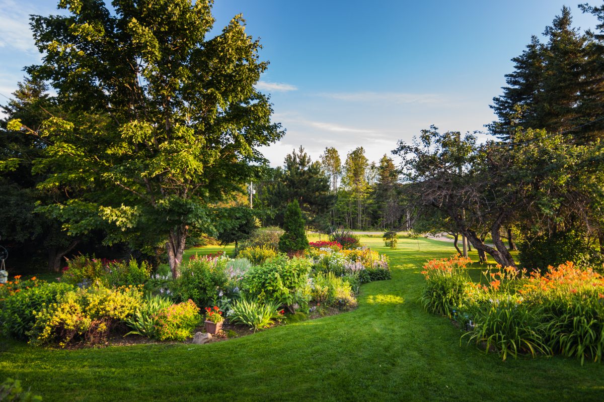 Jardin avant d'une maison, créé par un paysagiste à Toulon, La Crau, Var, illustrant un aménagement paysager élégant et soigné.