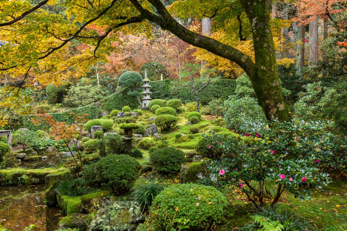 Paysagiste, jardinier, jardin japonais, avec un bassin au milieu