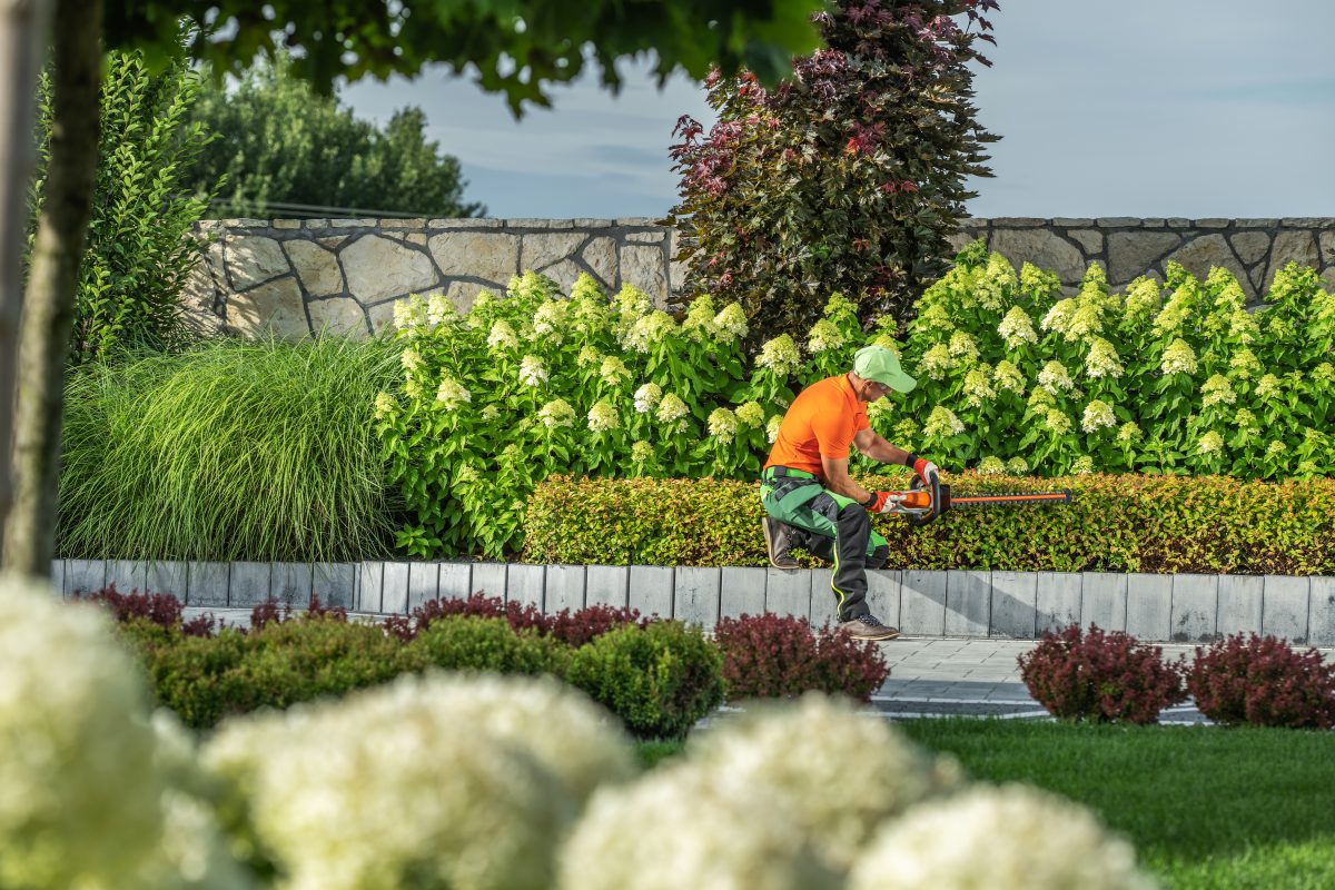 Jardinier paysagiste en train d’entretenir un jardin de façon raisonnée