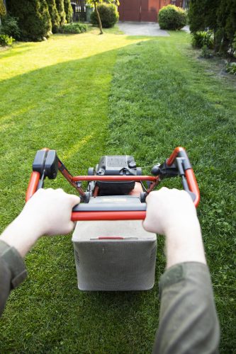 Entretien de jardin réalisé de manière soignée et raisonnée