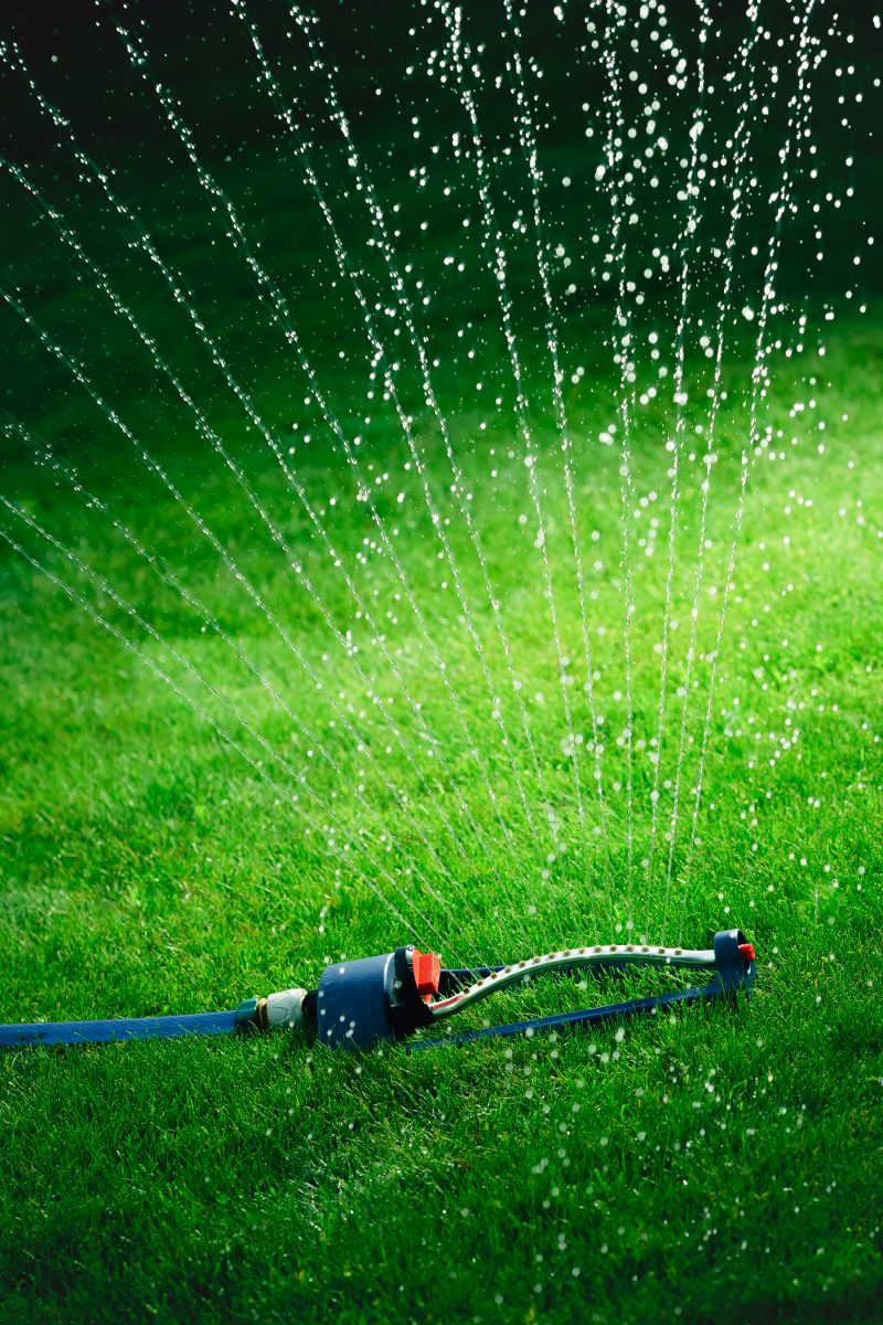 Arrosage automatique d’une pelouse avec un sprinkler, assurant une couverture uniforme pour un gazon sain et verdoyant.