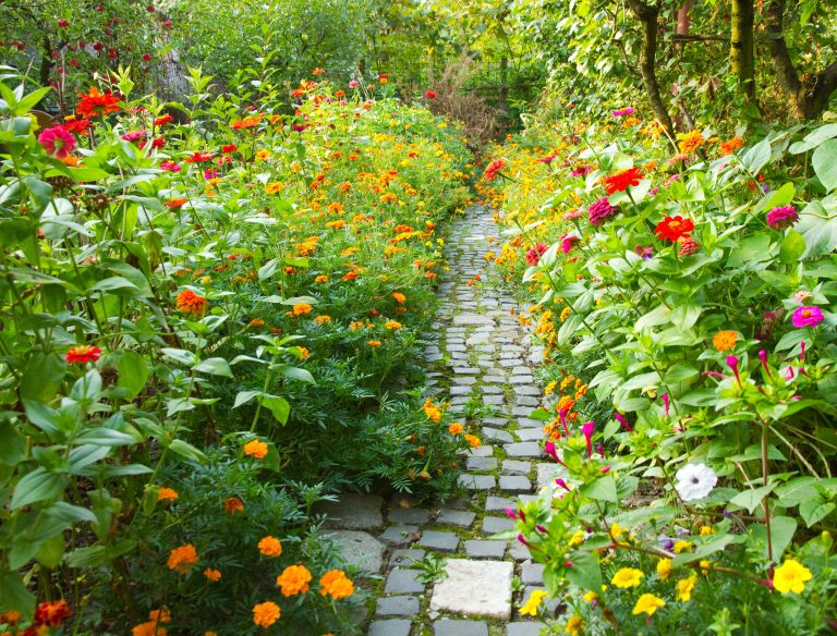 Création et aménagement de jardin à La Crau adaptés au climat local