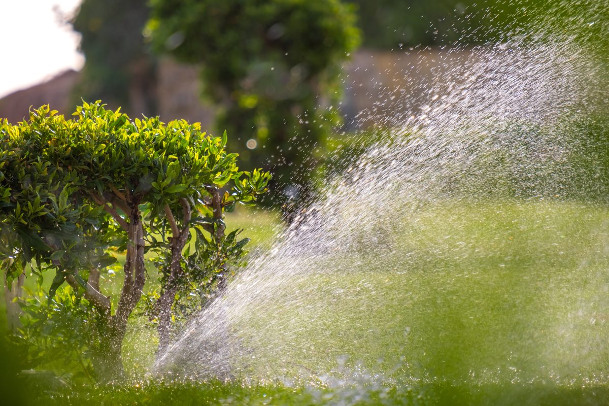 Système d’arrosage automatique optimisé pour un jardin méditerranéen et la gestion durable de l’eau