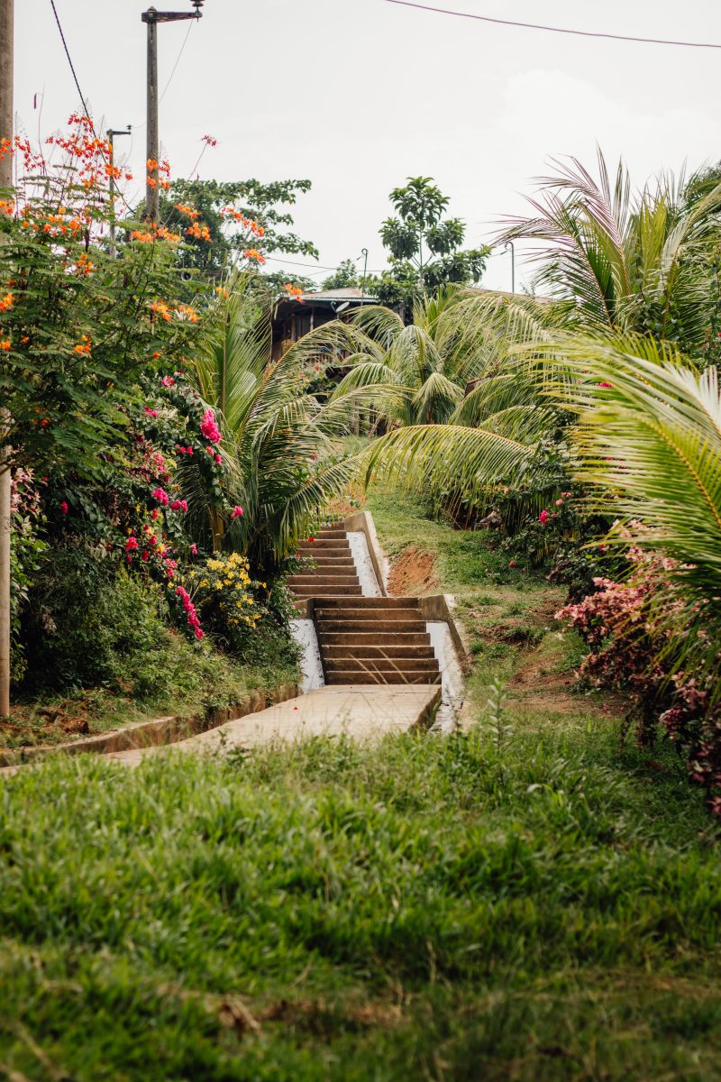 Escalier bordé de verdure dans un jardin près d'un lac à Toulon, Var, montrant un aménagement paysager élégant et harmonieux.