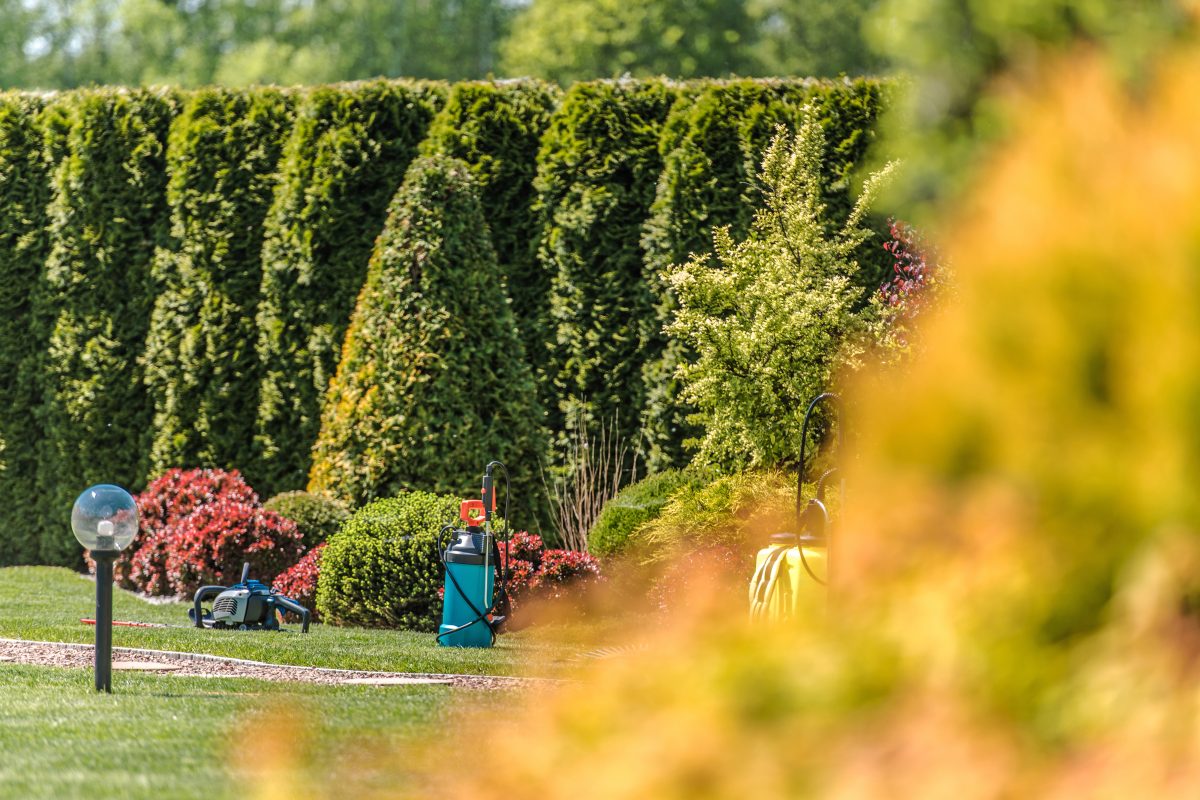 Jardin arrière résidentiel à La Crau, Var, créé par un paysagiste, mettant en valeur l'harmonie entre pelouse, plantes et éléments paysagers.