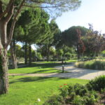 Jardin centrale de La Crau, environnement de jardin paysager
