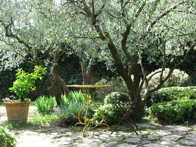 jardin-provencal-pierre